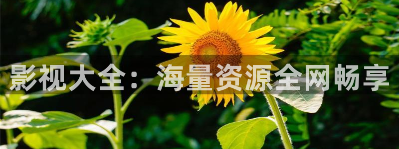 樱花视频在线观看高清免费资源在线观看：影视大全：海量资源全网畅享