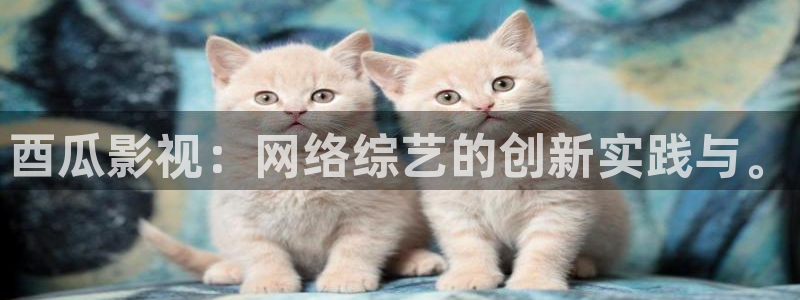 樱花动漫免费看电影：酉瓜影视：网络综艺的创新实践与。