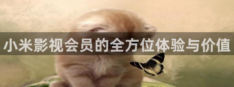 樱花视频网页：小米影视会员的全方位体验与价值