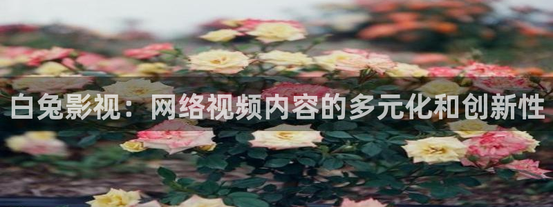 樱花动漫网站免费观看：白兔影视：网络视频内容的多元化和创新性