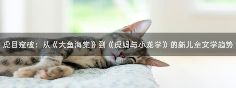 免费观看雷火剑樱花动漫全集：虎目窥破：从《大鱼海棠》到《虎妈与小龙学》的新儿童文学趋势