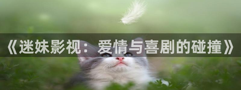 樱花视频在线看www：《迷妹影视：爱情与喜剧的碰撞》
