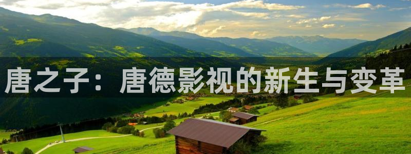 樱花动漫污在线看：唐之子：唐德影视的新生与变革