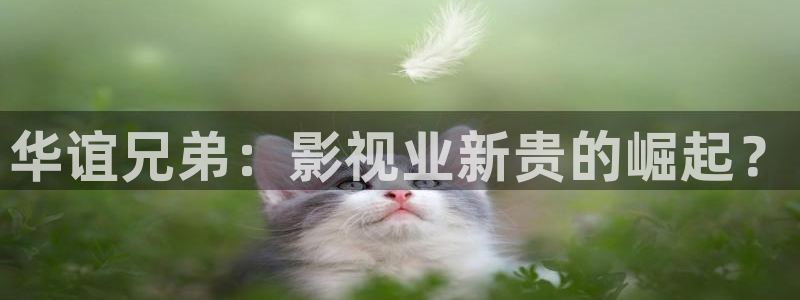 航海王免费观看樱花动漫版：华谊兄弟：影视业新贵的崛起？