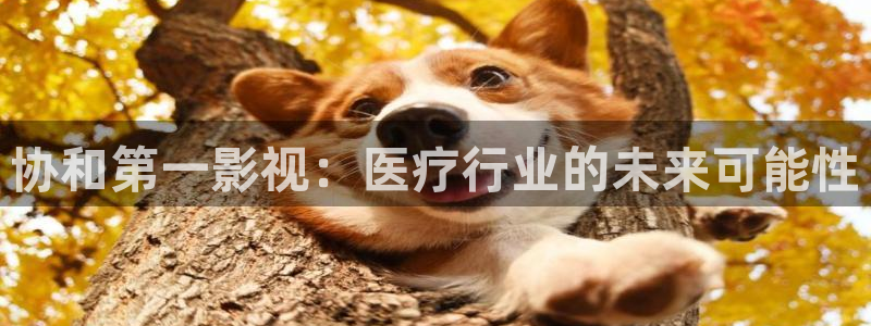 樱花动漫在线观看：协和第一影视：医疗行业的未来可能性